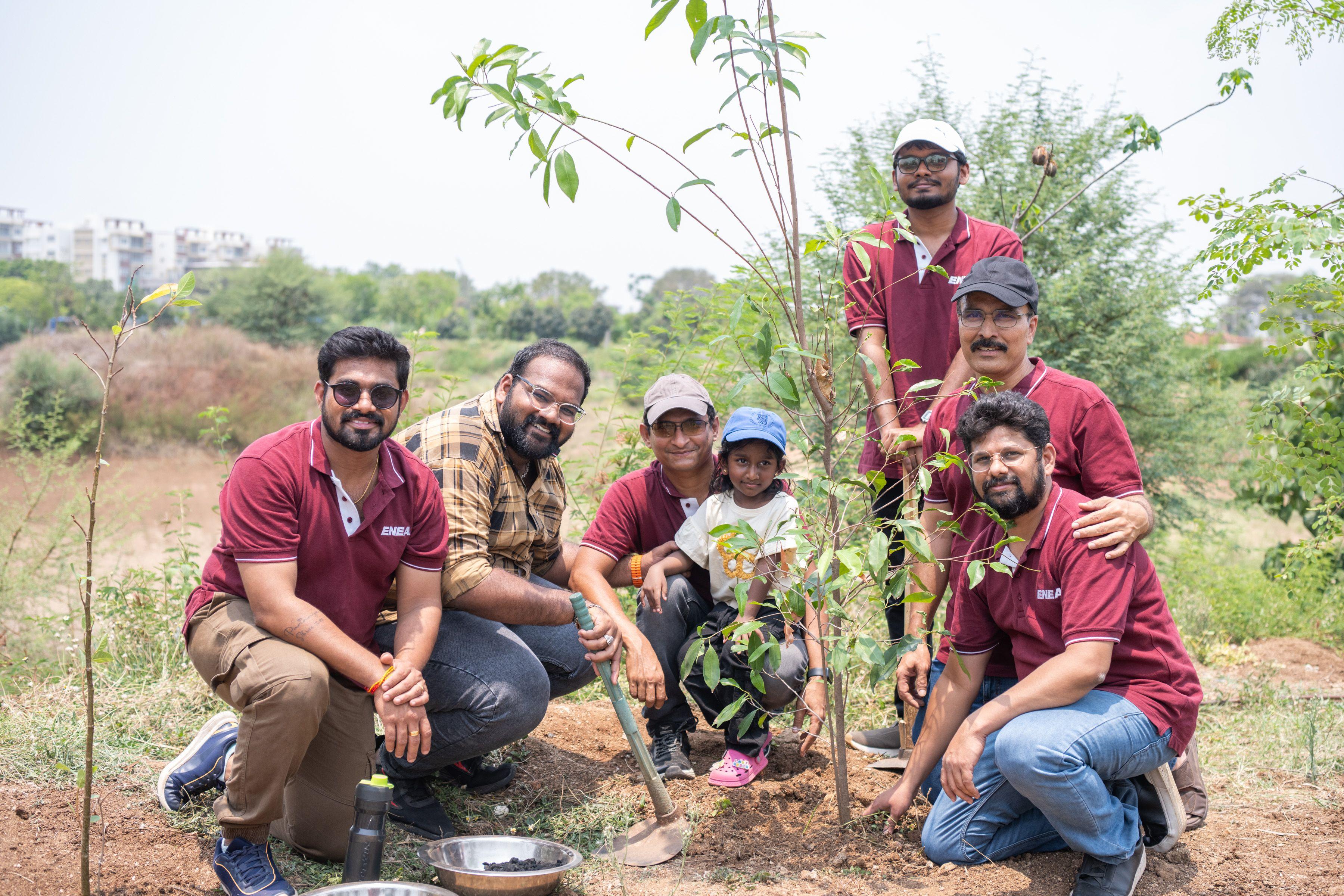 Tree Plantation: