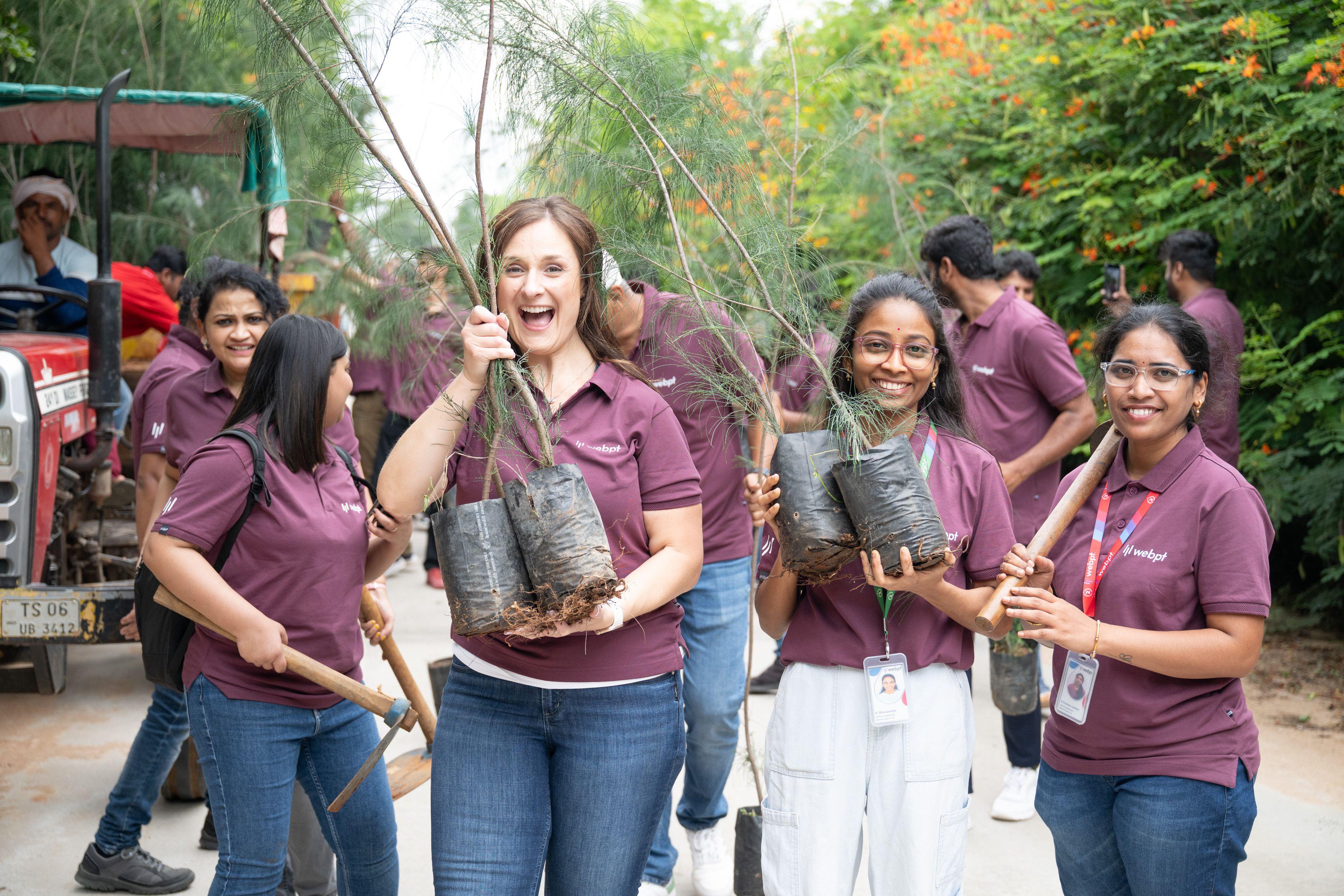 Tree Plantation: